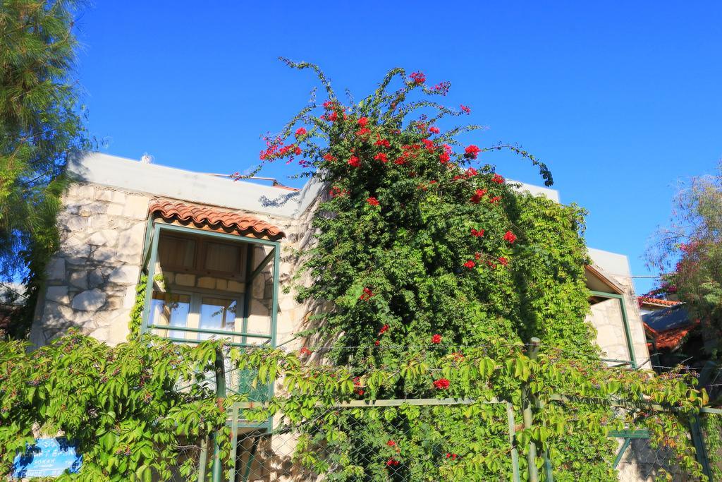 Green House Apart Hotel Gümbet Buitenkant foto